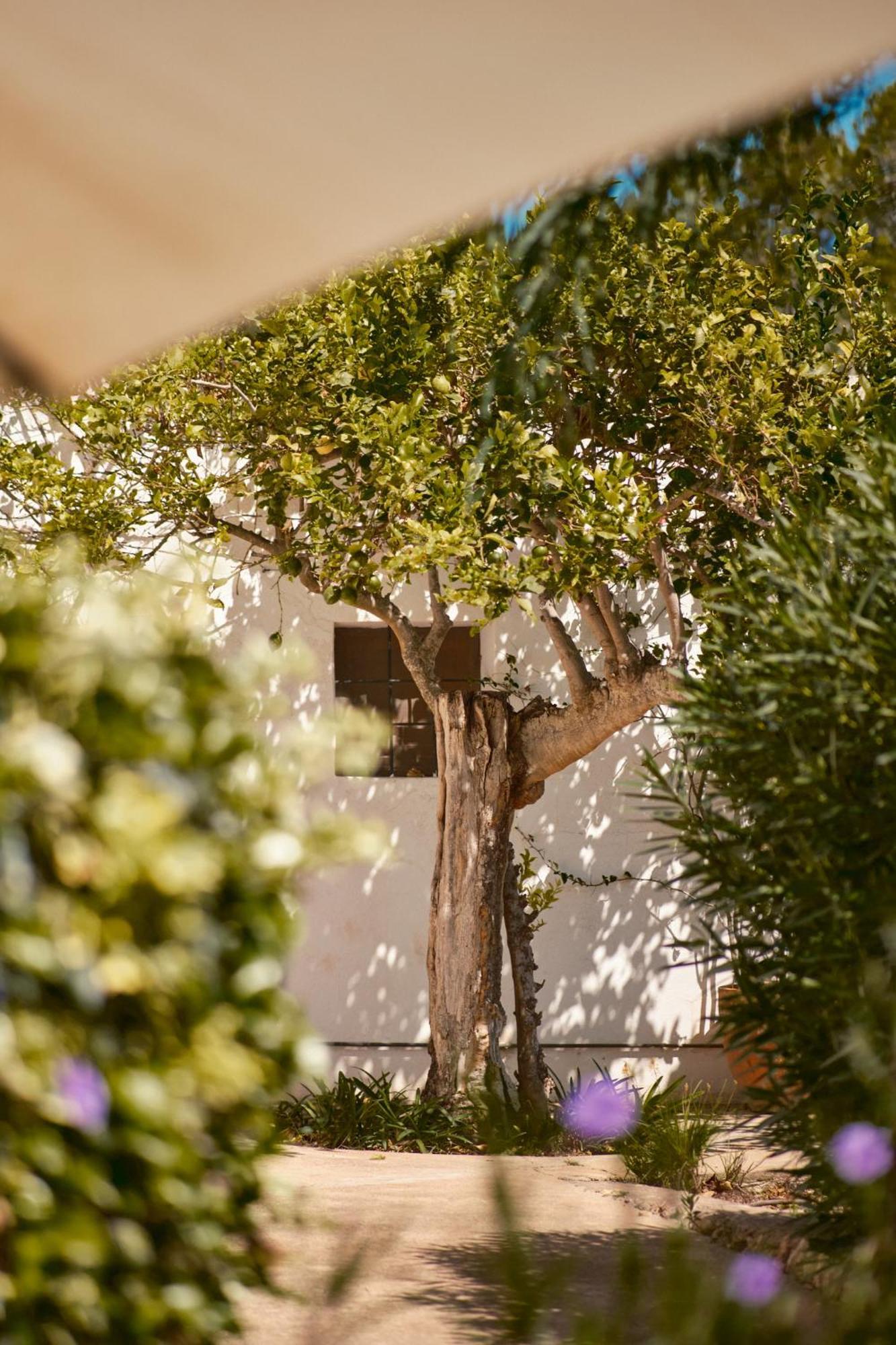 The Guardian House Hotel Santa Gertrudis  Eksteriør billede