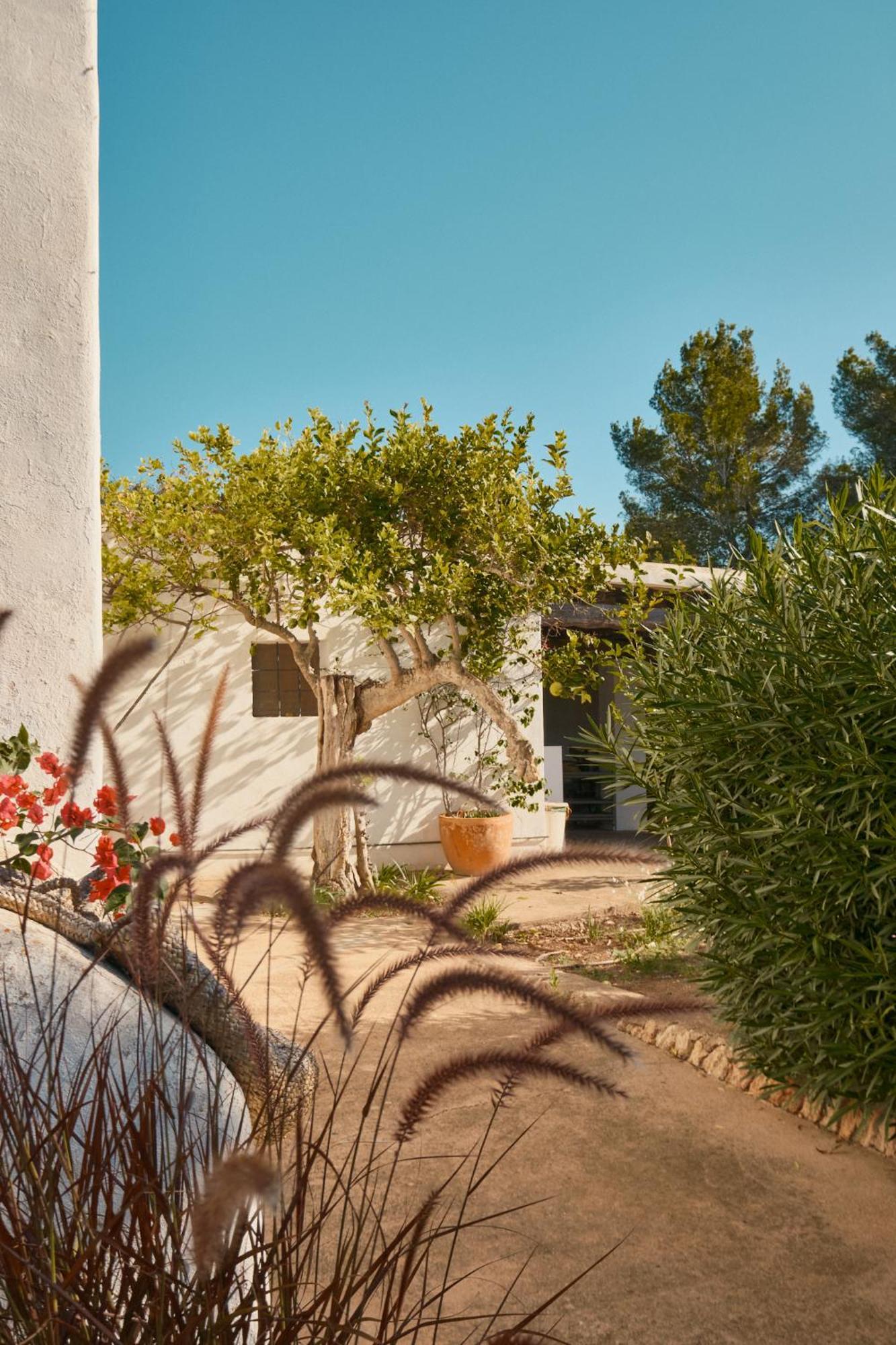 The Guardian House Hotel Santa Gertrudis  Eksteriør billede